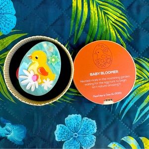 Baby Bloomer Erstwilder chick egg Easter brooch